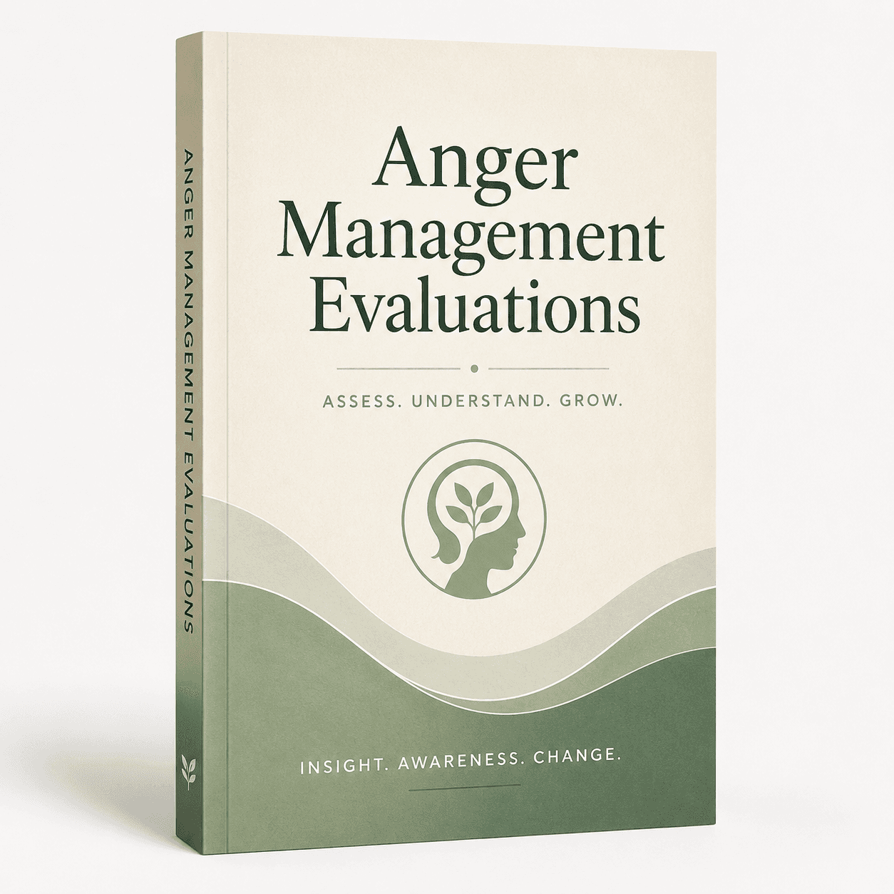 Anger Management Evaluations
