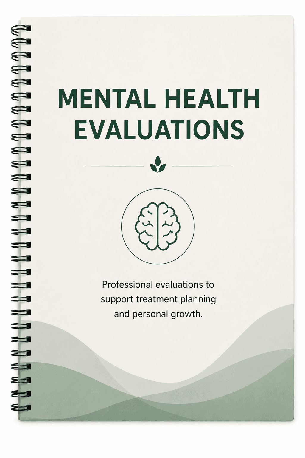 Mental Health Evaluations